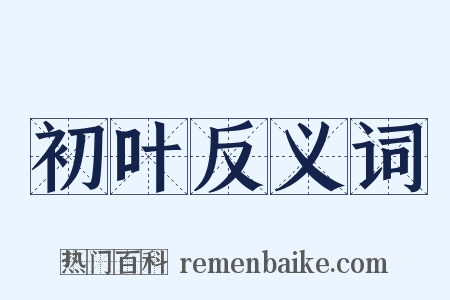 初叶反义词是什么意思的图片